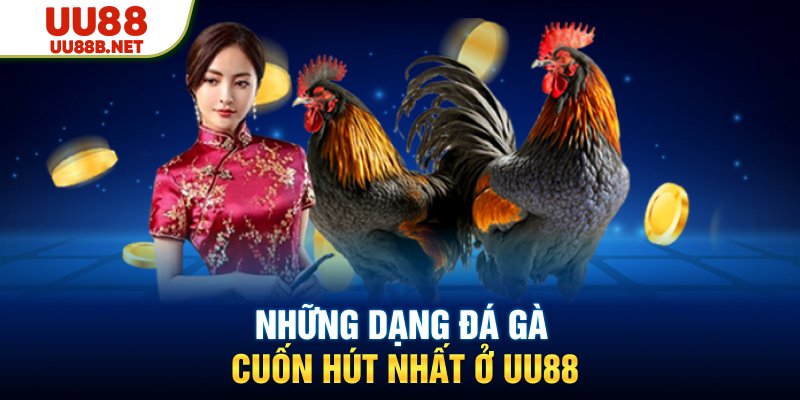 Đá gà uu88