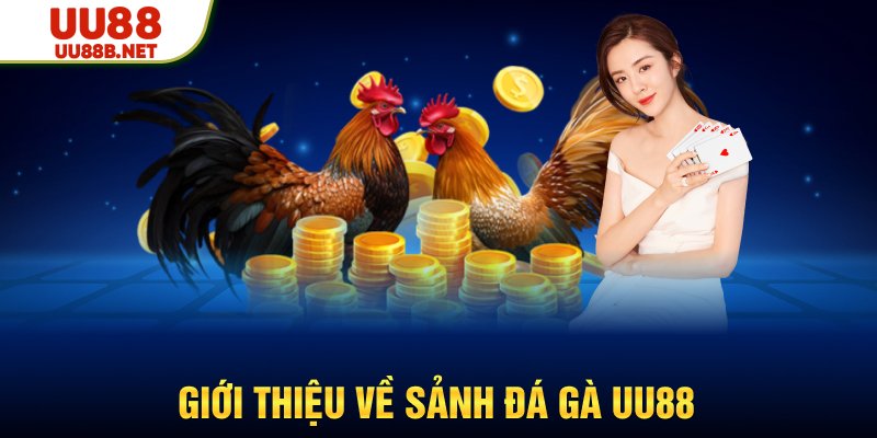 Giới thiệu sảnh đá gà uu88