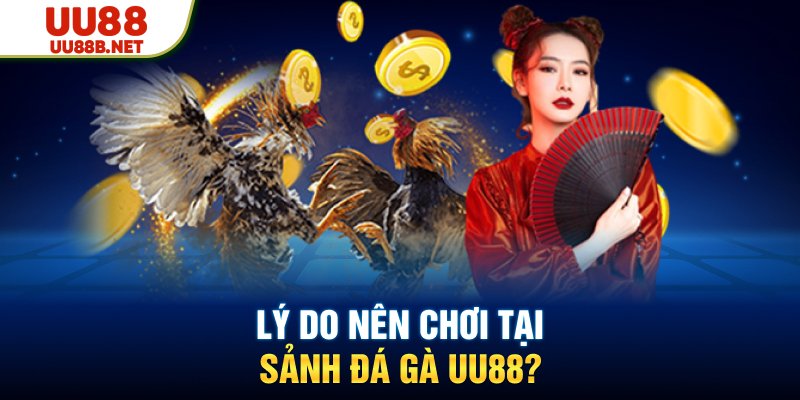 Lý do chơi đá gà uu88